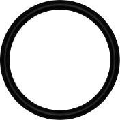 Anel O´ring / D.INT: 21,95mm X ESP: 1,78mm
